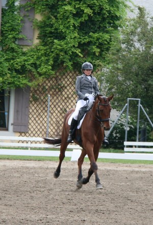 Dressage