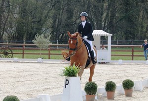 Dressage Evordes