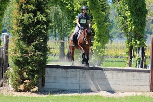 TREC satigny  (Photo Nicole Vonlanthen)