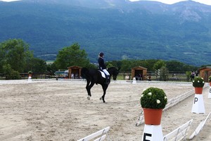 Dressage Chaumaz