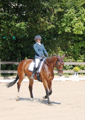 Photos Dressage Onex