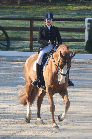 Dressage Evordes