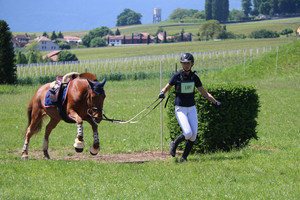 Trec Satigny