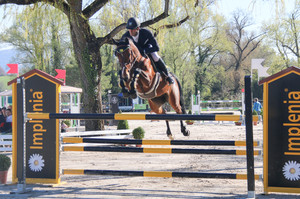 Pallanterie 2016
