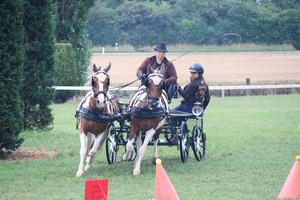 Attelage Satigny