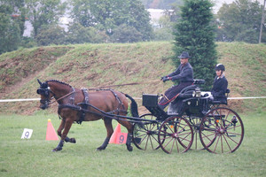 Attelage Satigny