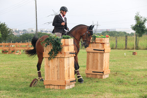 Equitation Travail