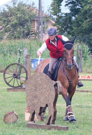 Equitation travail