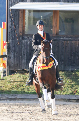 Dressage