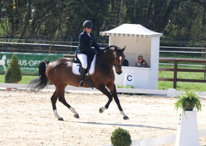 Evordes Dressage