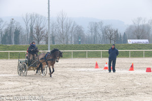 Stage Iena