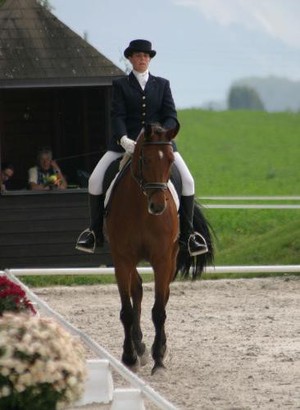 Le Dressage