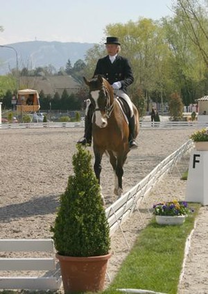 Le Dressage