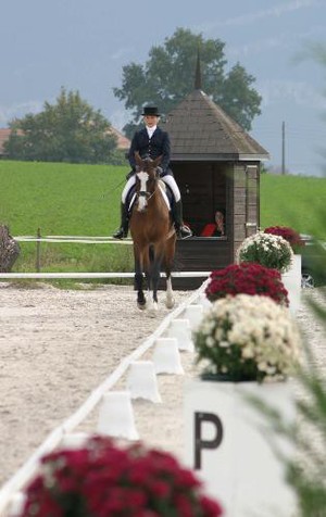 Dressage