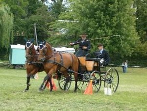 L'attelage de Compétition