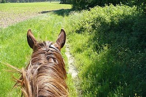 Equitation d'Extérieur