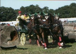 Quadrille d'attelage impressionnant!