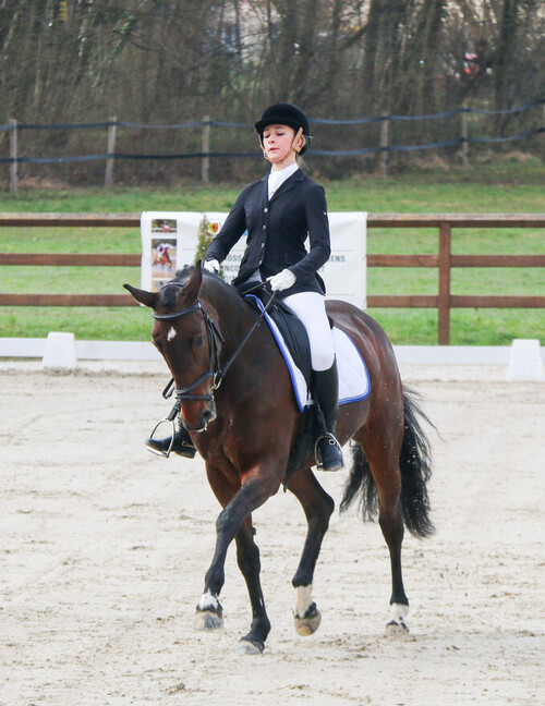 Dressage