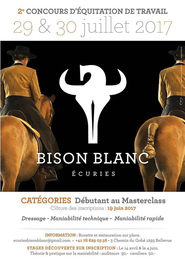 Bison Blanc