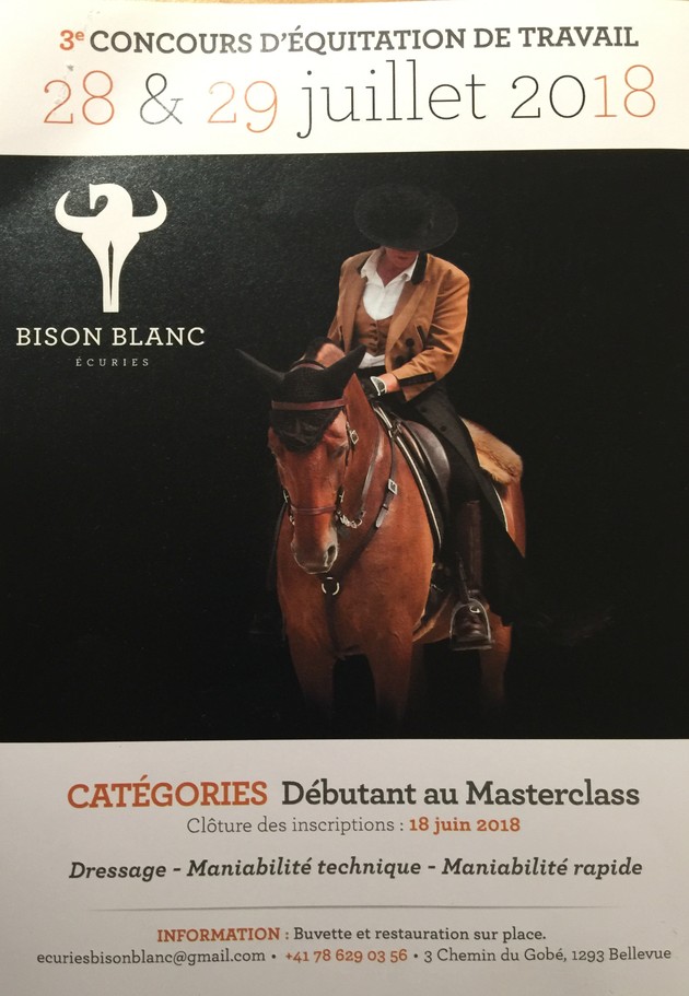 Bison Blanc