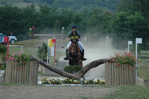 Le Concours Complet d'Equitation