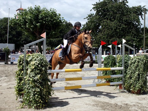 Les poney à Genève