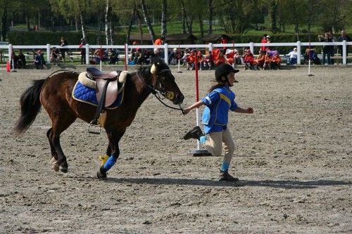 Pony Games