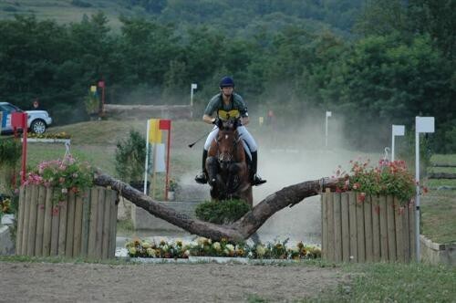 Le Concours Complet d'Equitation