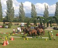 Attelage à Satigny