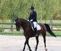 Dressage à Vandoeuvres