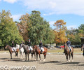 Finales de dressage à Onex