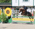 Concours de Saut de La Gambade