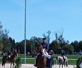 Finales Suisses des Jeunes Chevaux.