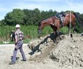 TREC : entraînement et compétition à Satigny