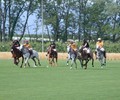 Le polo à l´honneur à Veytay ce week-end