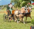 Echos du week-end: Attelage à Frauenfeld