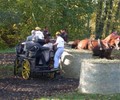 L´attelage en fête à Palexpo