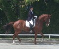 Championnat genevois juniors de dressage