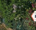News: Site écuries de Machefer