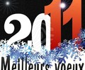 Voeux 2011