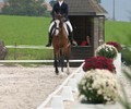 Finales de Dressage Genevoises et Romandes