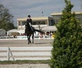 Finales genevoises de Dressage