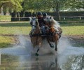 News du week-end: Attelage à Berne