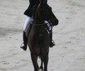 3e journée du 47e CSI-W de Genève