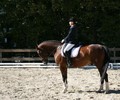 News: Dressage à Onex