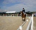 News du Weekend: Finales de Dressage