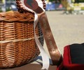News du week-end: Saut à la Renfile