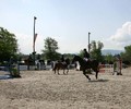Poneys à la Pallanterie