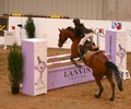 News du week-end: Saut à Evordes
