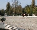 Inter-Manège Dressage Pas de Deux